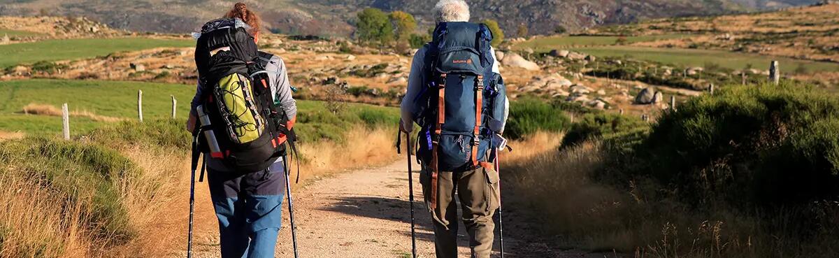 Teleskop-, faltbarer oder klassischer Wanderstock aus Holz - Was macht gute Trekkingstöcke aus?