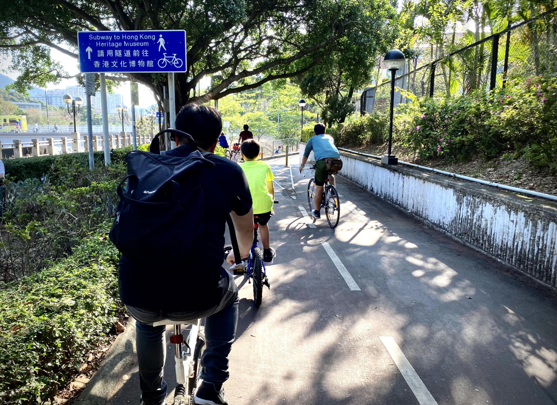 沙田划艇中心前往沙田新城市廣場的單車徑