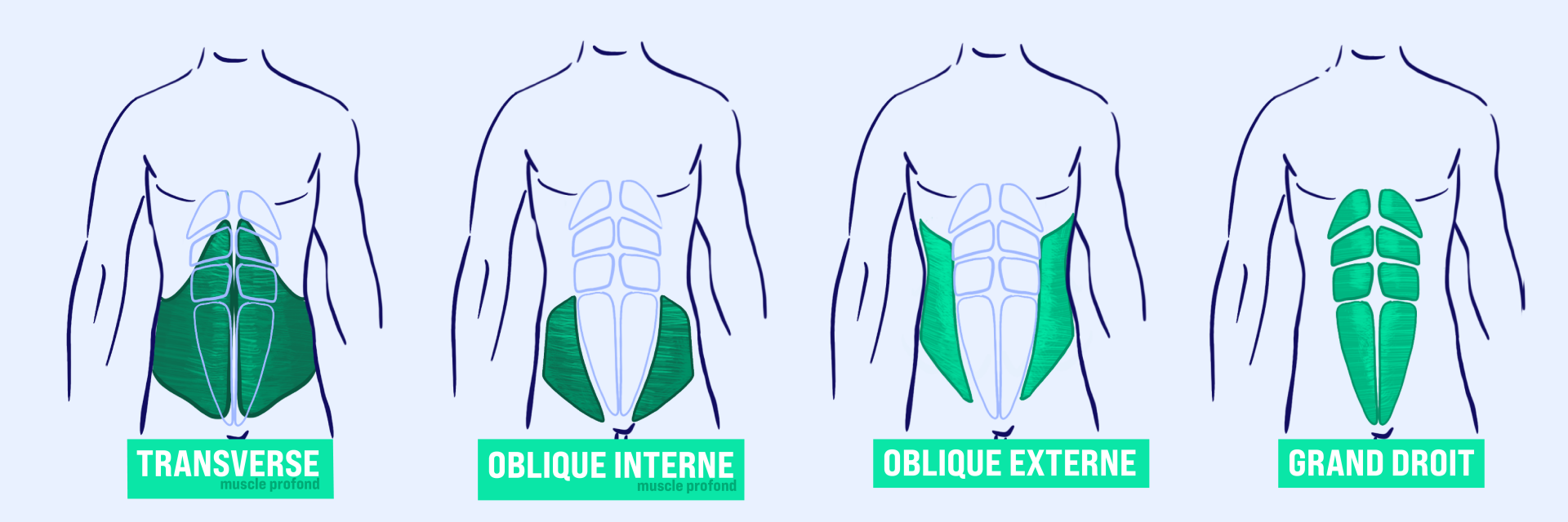 10 exercices pour se muscler les abdominaux