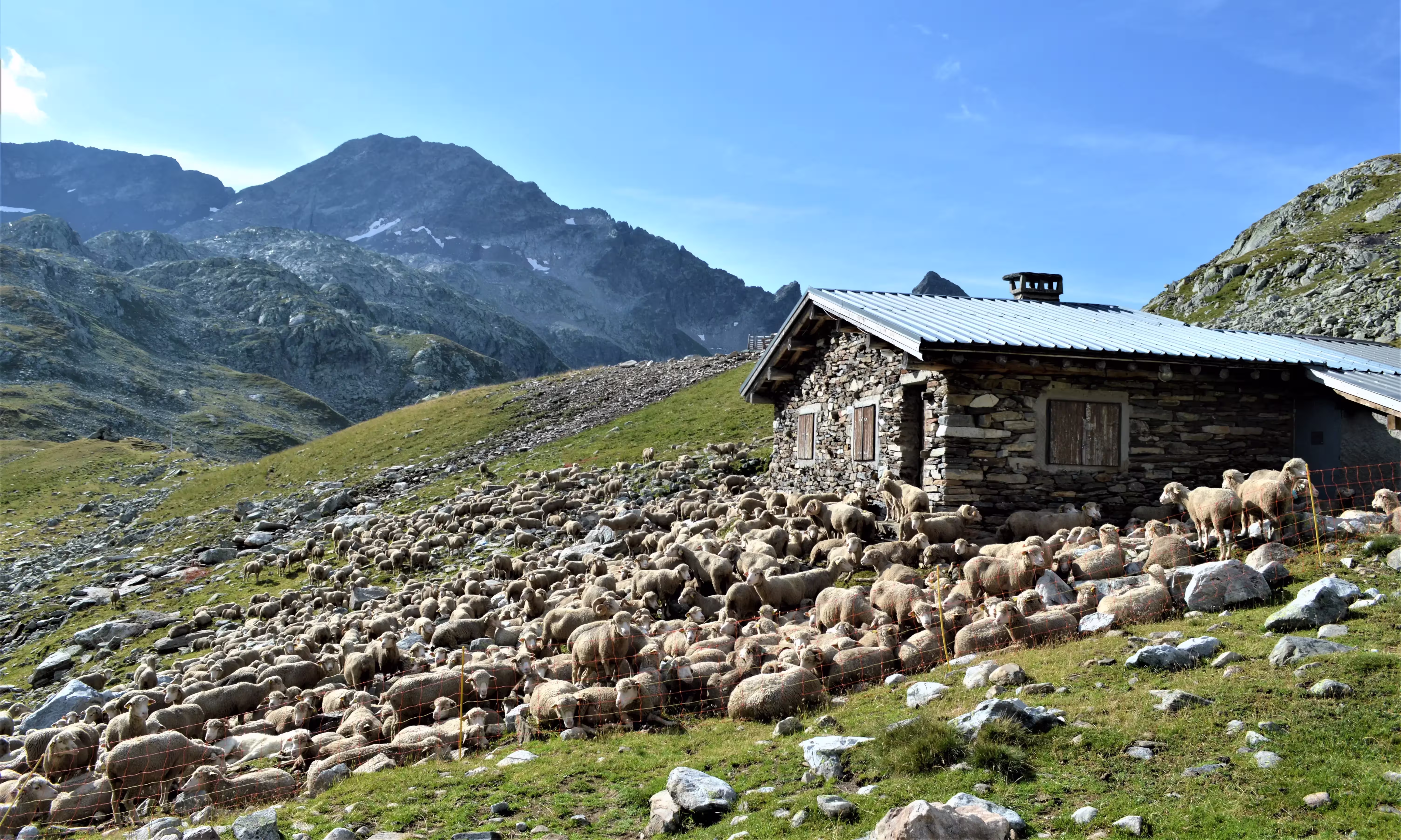 Photo d'Alpage dans le massif de Belledonne © Photo d'Alpage dans le massif de Belledonne