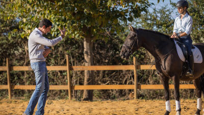 Equipement cheval pour la pratique du CSO : matériel chevaux : Decathlon