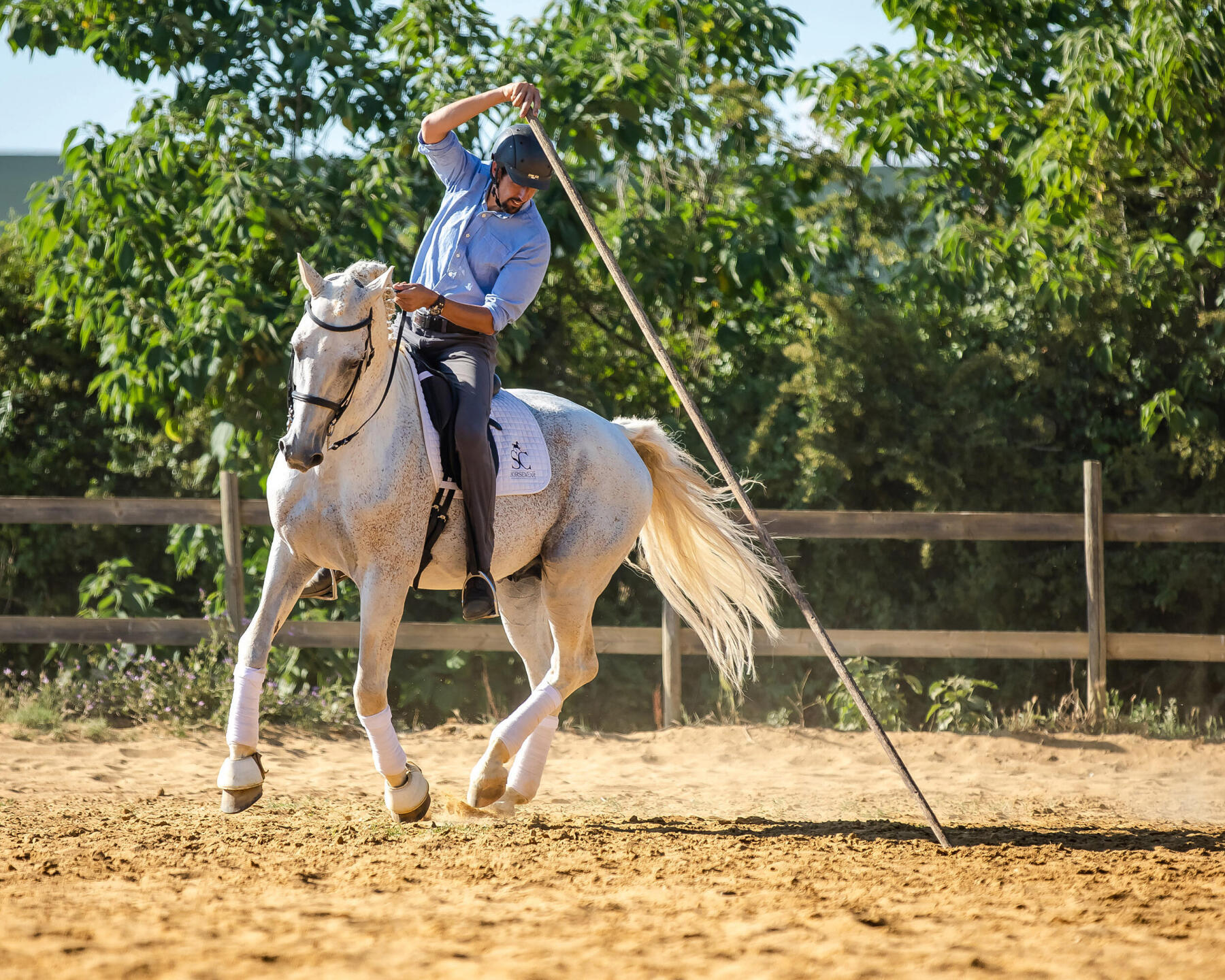 J'ai testé pour vous… Cheval de Bataille ! - Comprendre Pour Agir