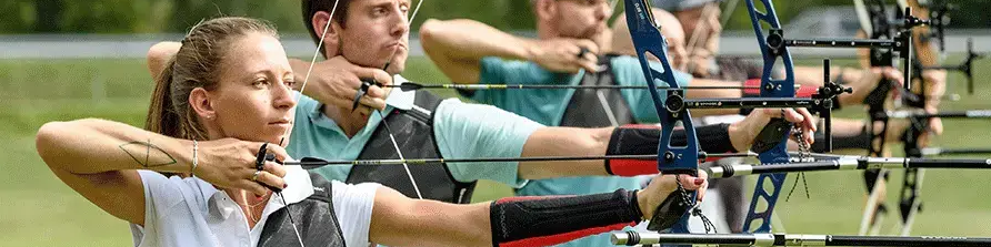 Light Weighted, Portable electronic bow and arrow Available 