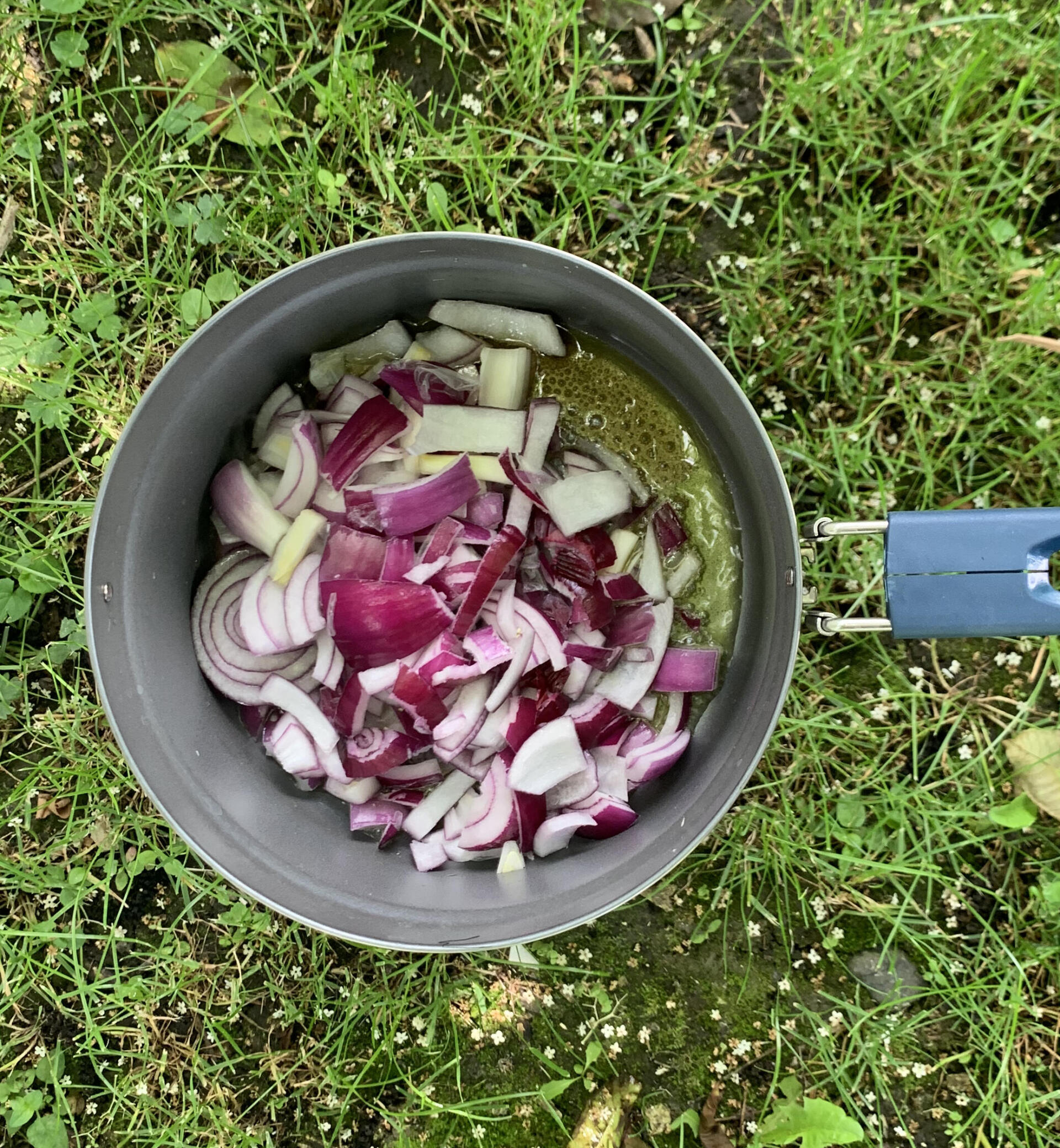 oignons et huile dans une casserole