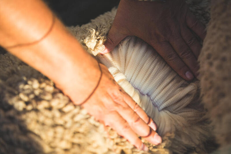 Merino Wool Benefits
