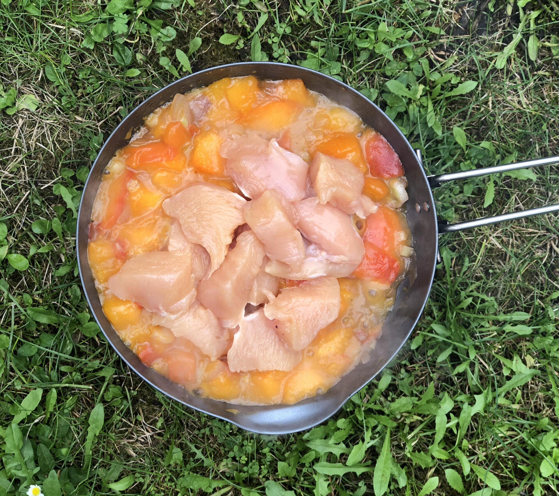 POULET AUX ABRICOT AU RECHAUD