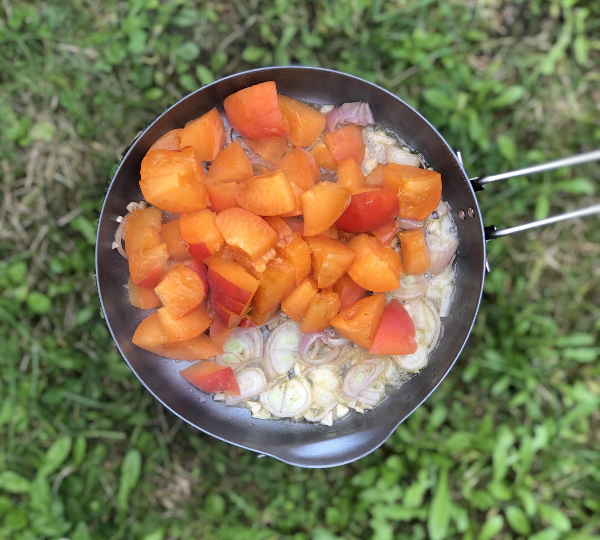 recette poulet aux abricots