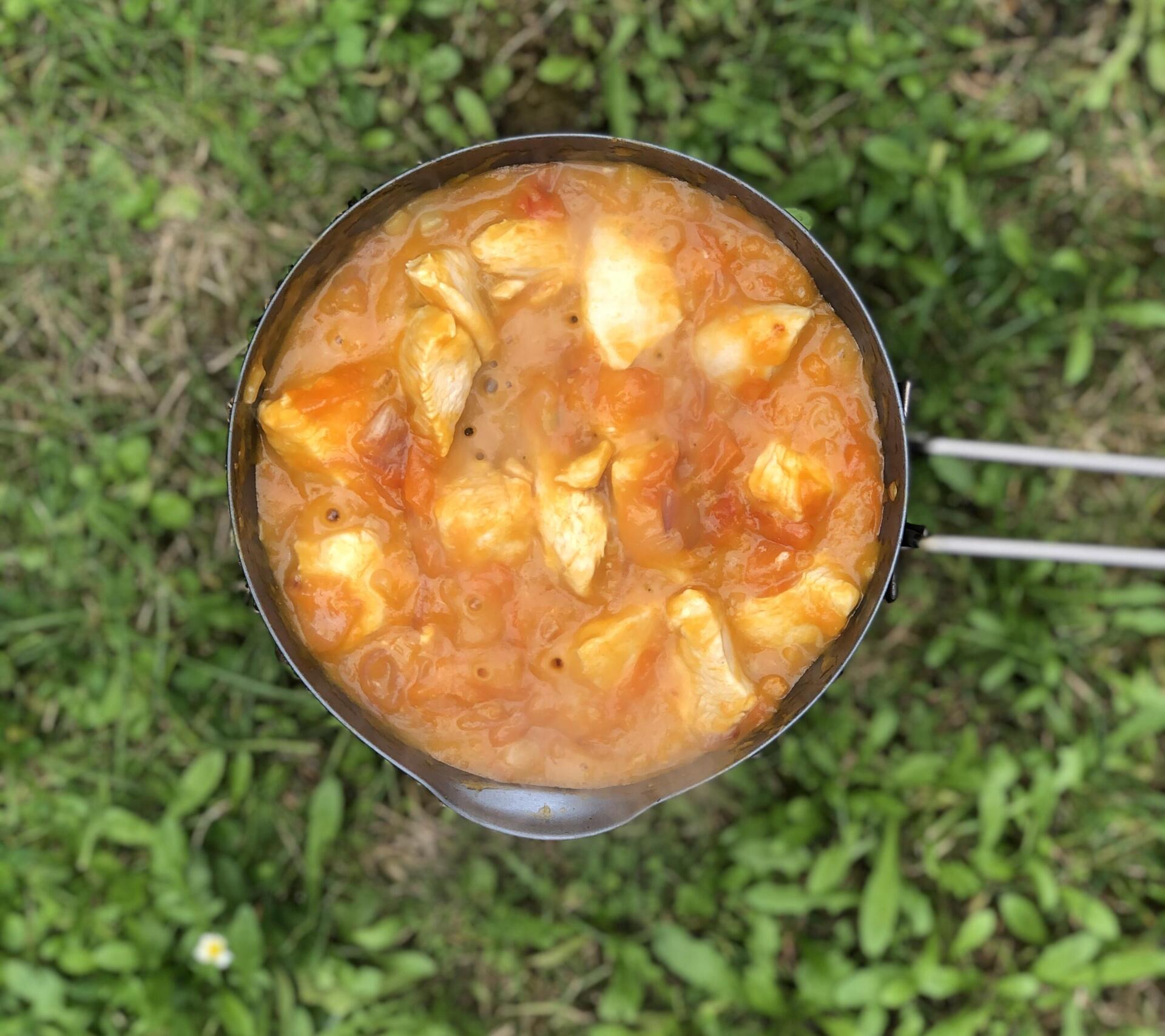 CAMP STOVE CHICKEN WITH APRICOT