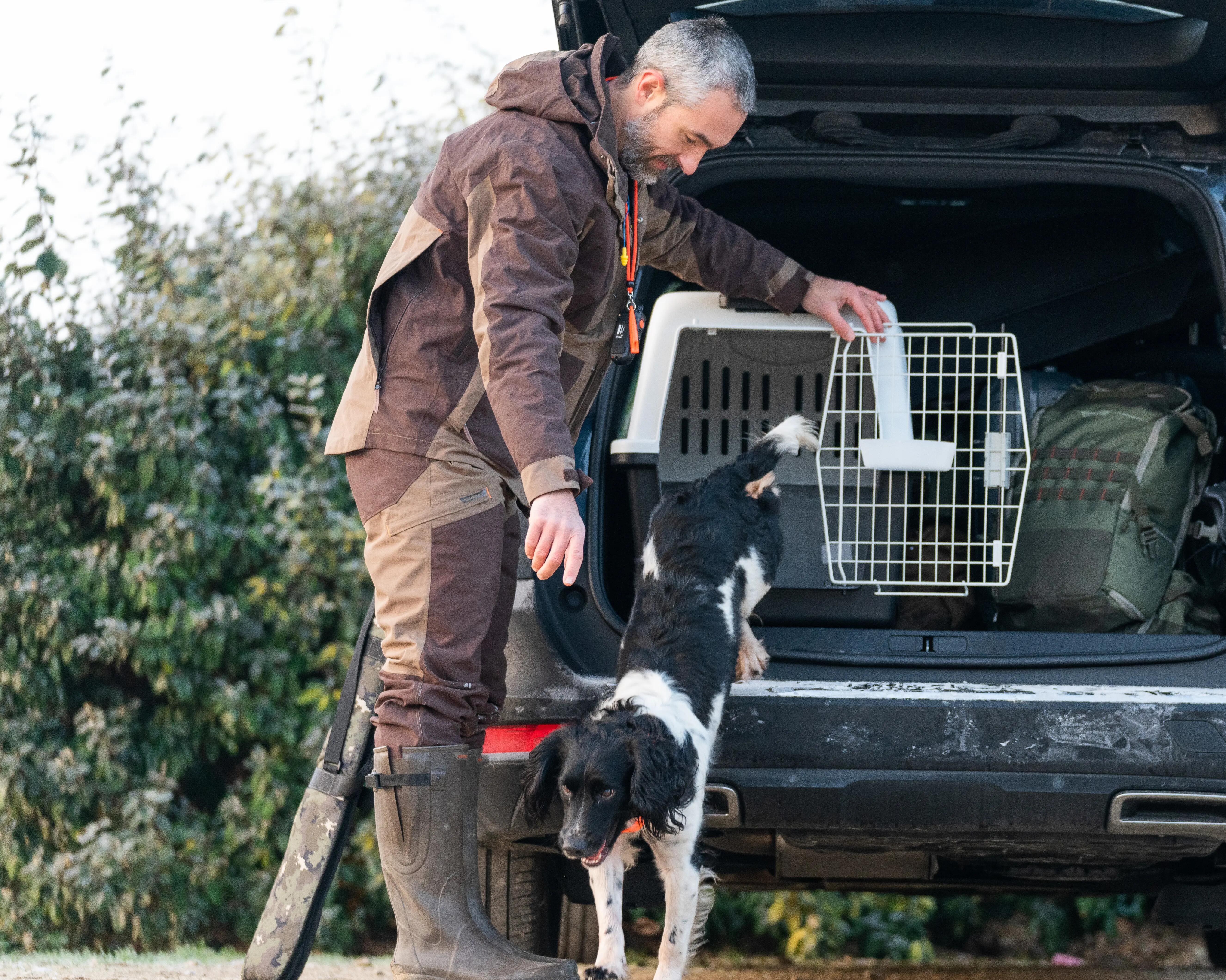 Managing your dog's first hunting trips