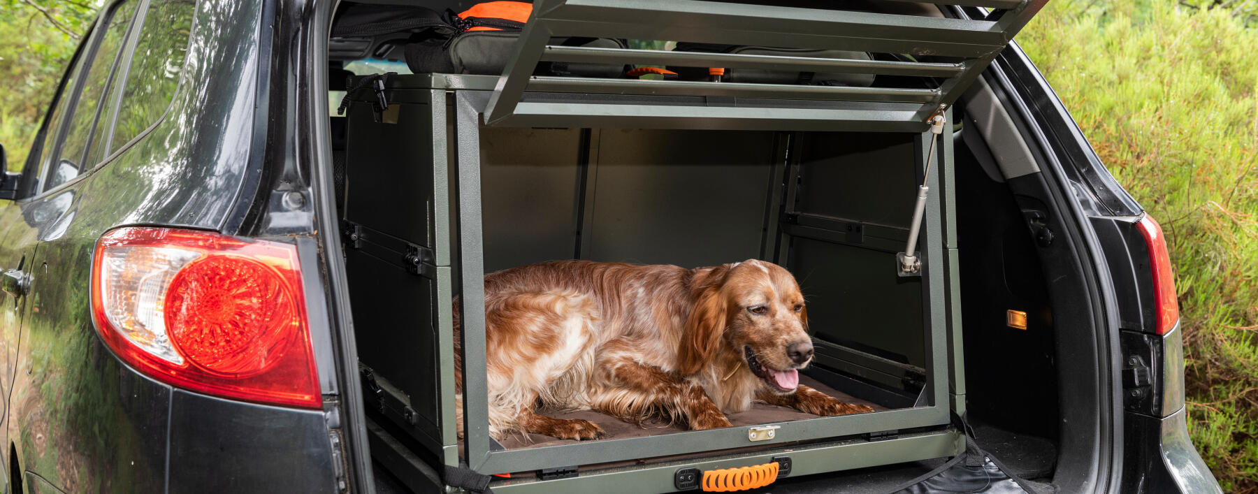 Caisse aluminium transport chien