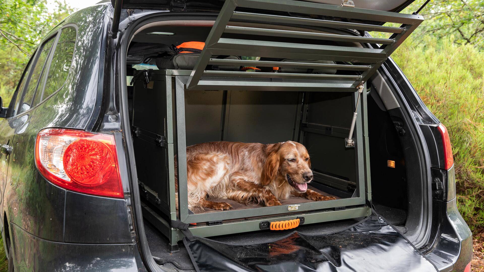 Caisse aluminium transport chien