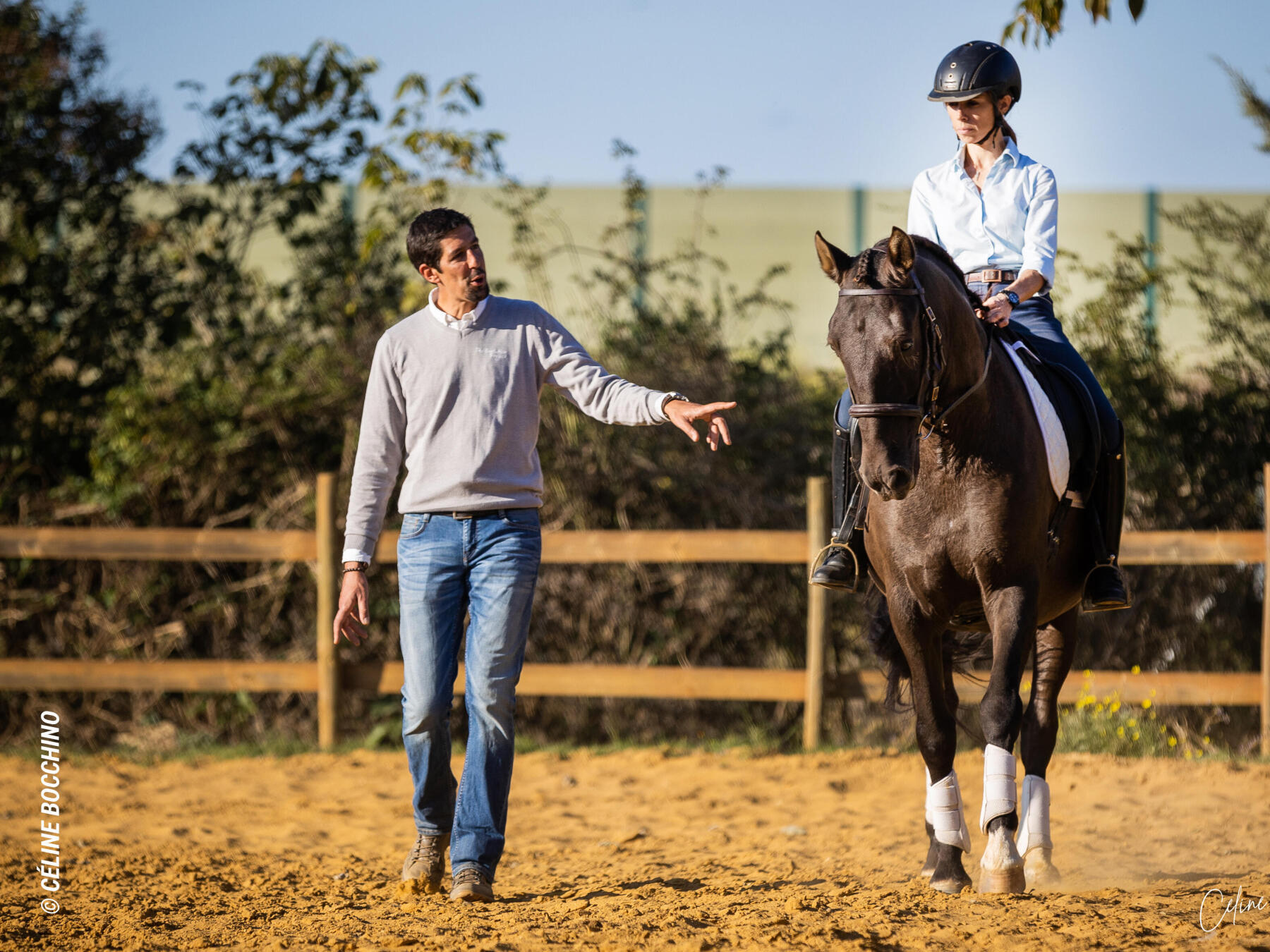 De quels équipements j'ai besoin pour commencer l'équitation ?