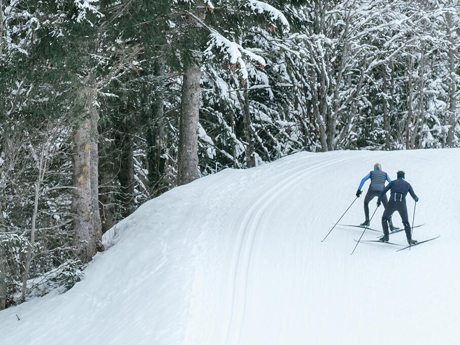 The best cross-country ski trails in and around Ottawa