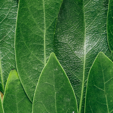 What does EcoDesign mean at Decathlon?