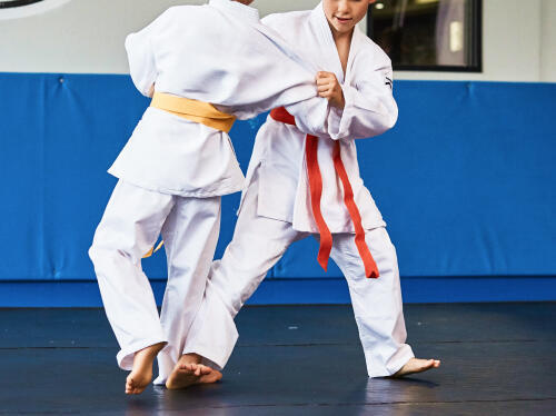 Judo – för att ta ut sig 
