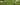 Golf Decathlon