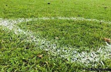 Artificial grass boots on real grass hot sale