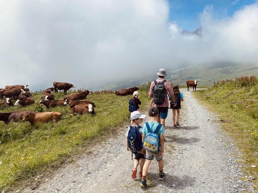 Two days at the foot of the Lauzière mountain range