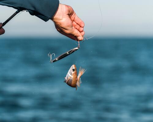 Man with fish on rod