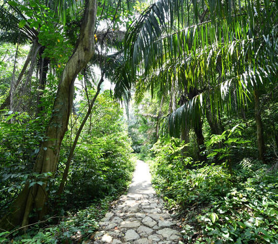 6 Secret Places To Hike In Singapore