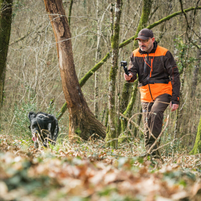 La chasse photographique a la becasse