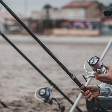 Seabass
