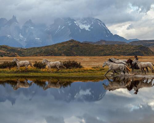 5 idées de treks à faire pendant un voyage en Argentine