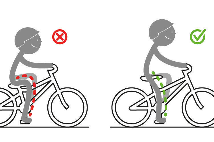 saddle height