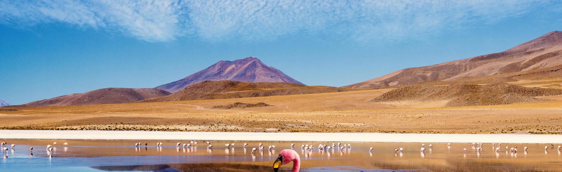 Inspiration : 5 idées de trek en Bolivie