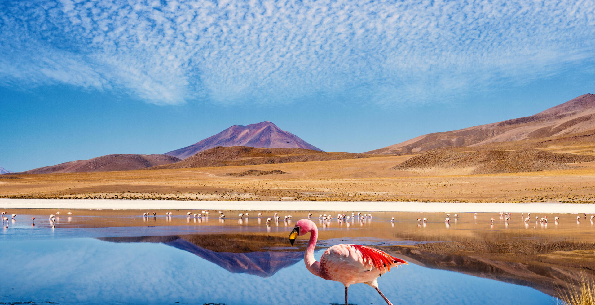 Inspiration : 5 idées de trek en Bolivie