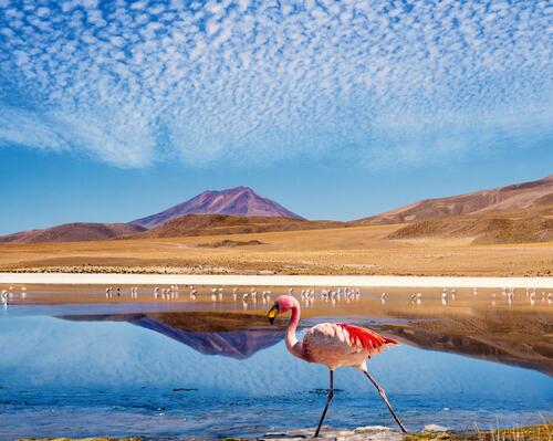 Inspiration: 5 ideas for trekking in Bolivia