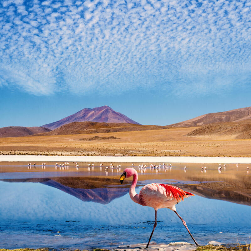 Inspiration : 5 idées de trek en Bolivie