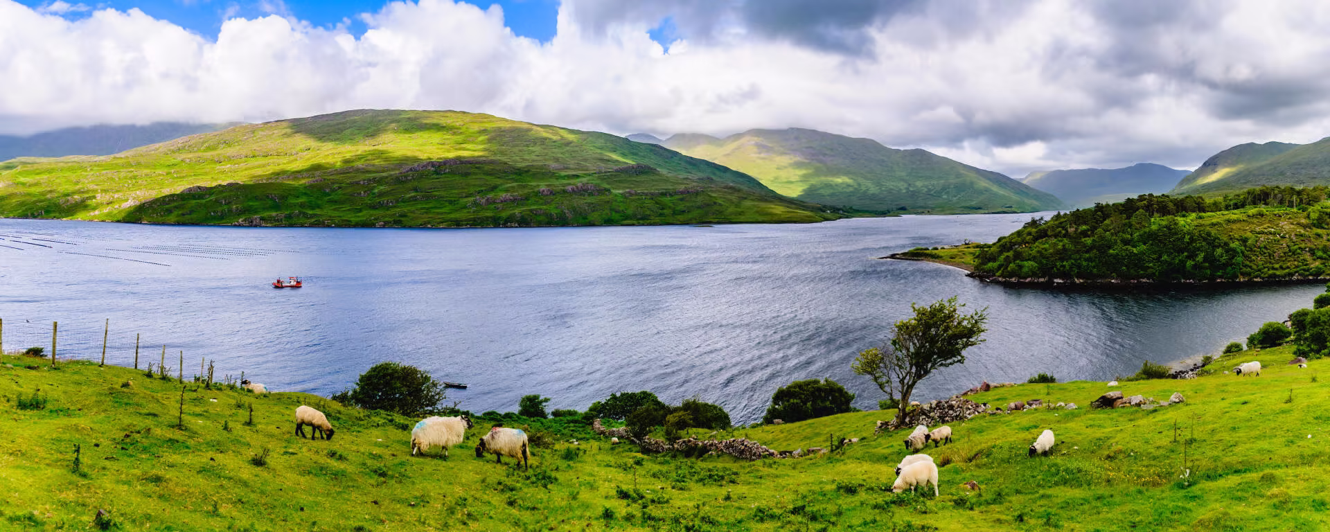 Paysage de montagne en Irlande © Paysage de montagne en Irlande