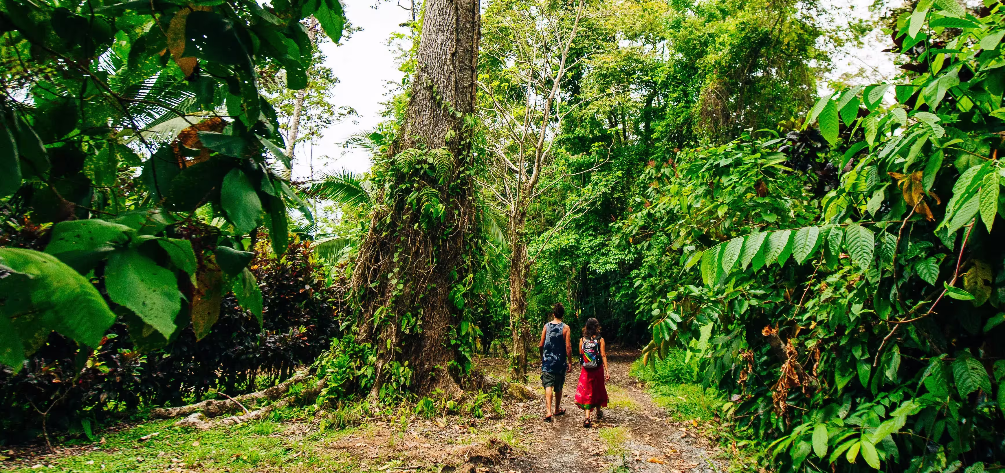 Parc national los Quetzales © Parc national los Quetzales