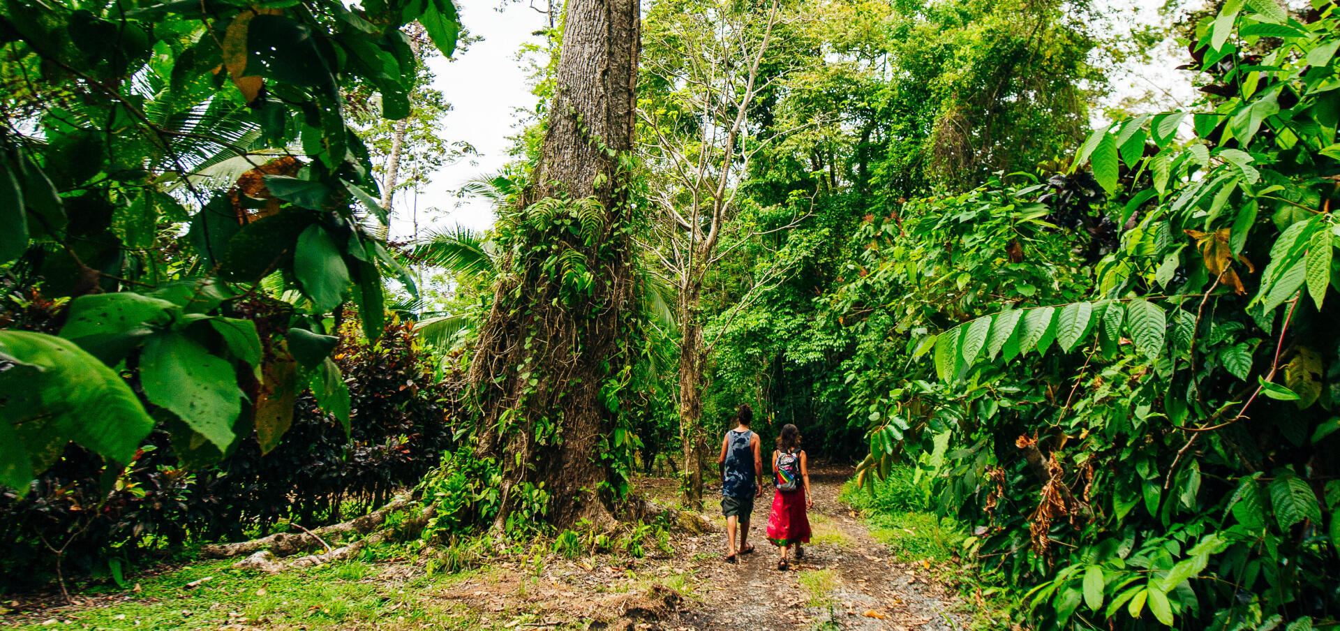 Hiking in Costa Rica: our ideas for adventure