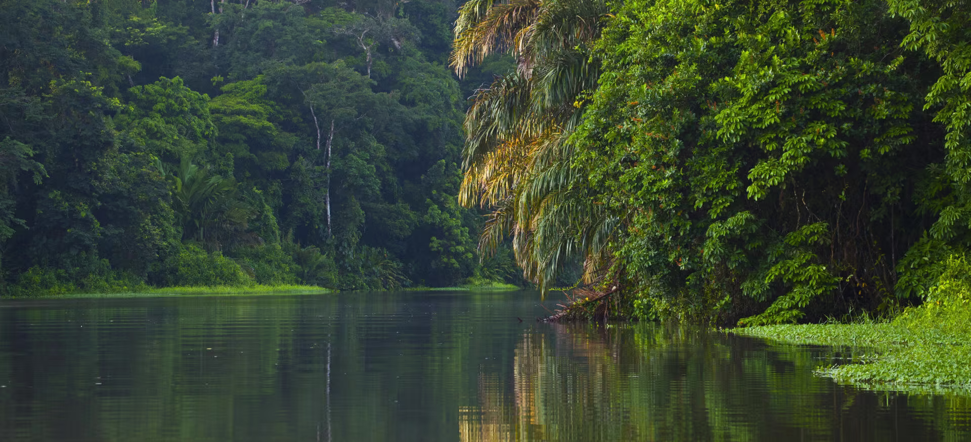 Photo paysage au Costa Rica dans le parc naturel du Corcovado © Photo paysage au Costa Rica dans le parc naturel du Corcovado