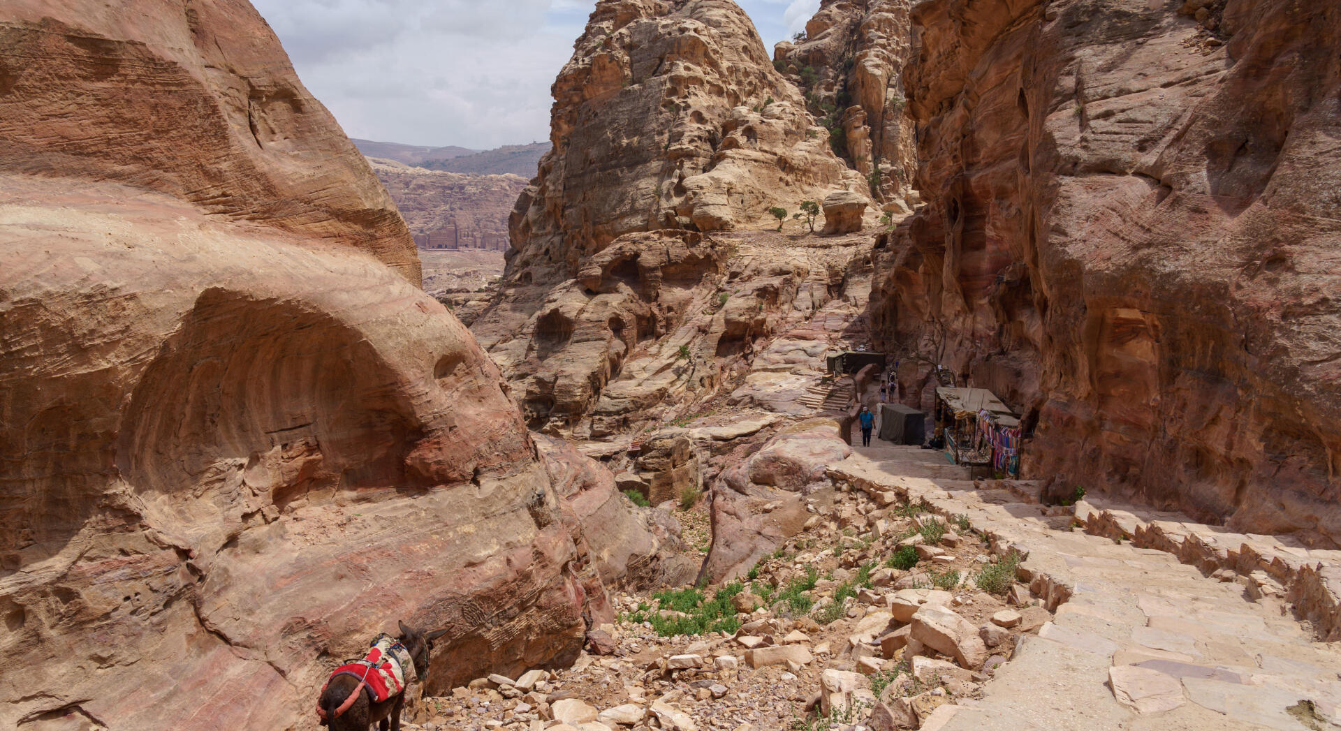 Trekking in Jordan: our tips for adventurers