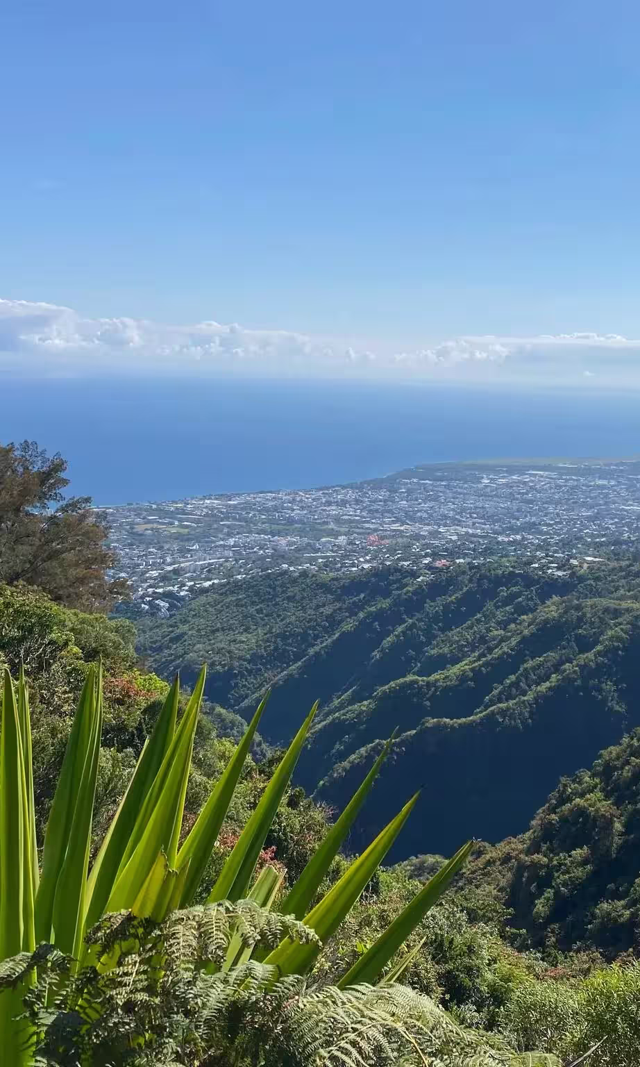 Vue sur panoramique de La Réunion © Vue sur panoramique de La Réunion
