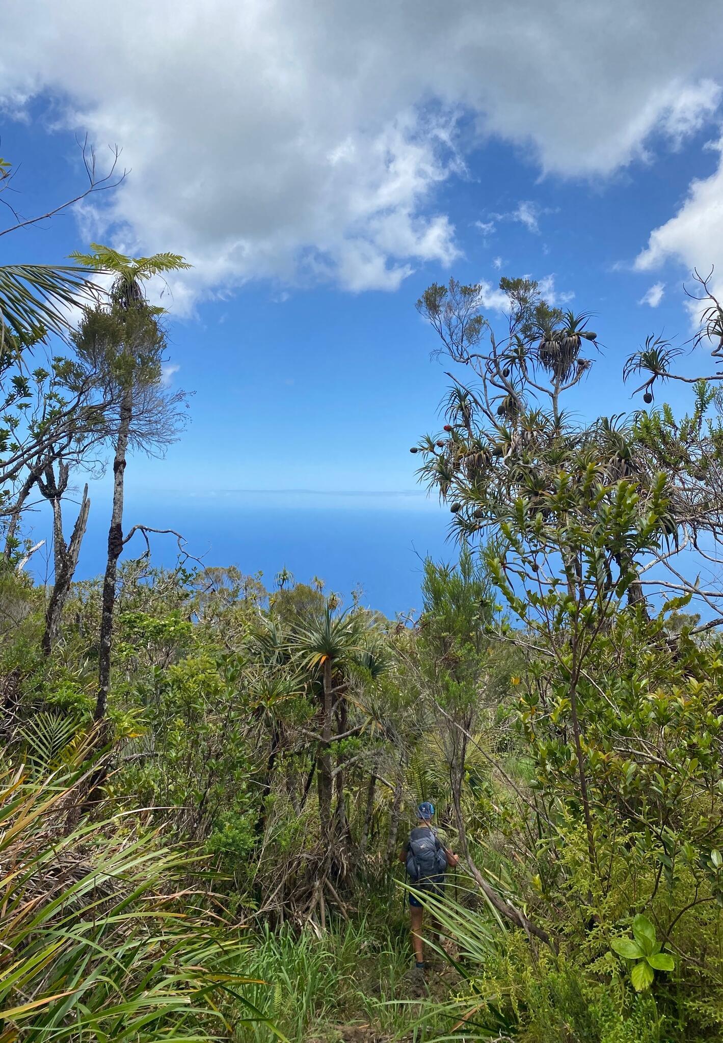 GR R2: the must-do hike in Reunion Island!