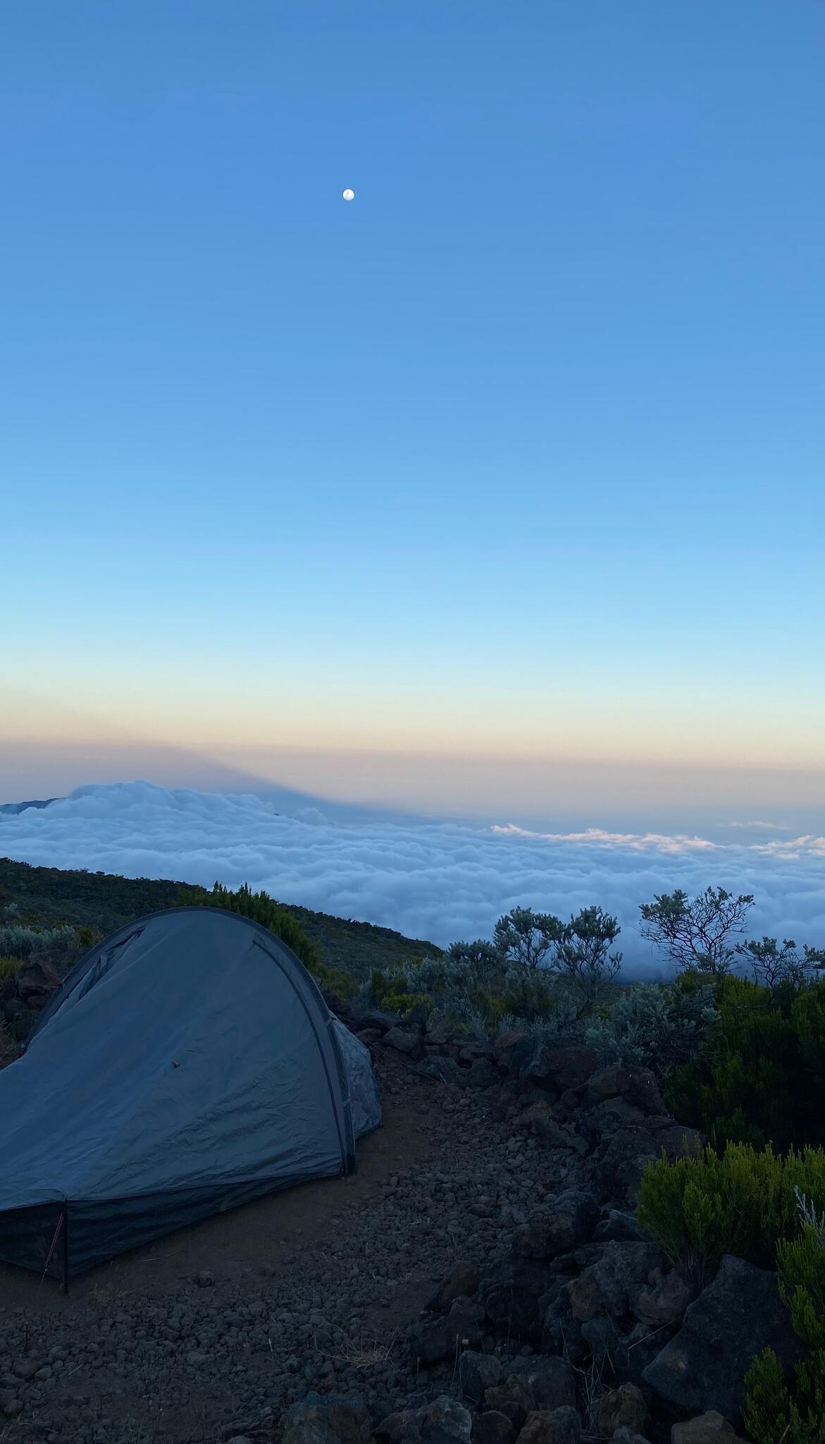 refuge in reunion island