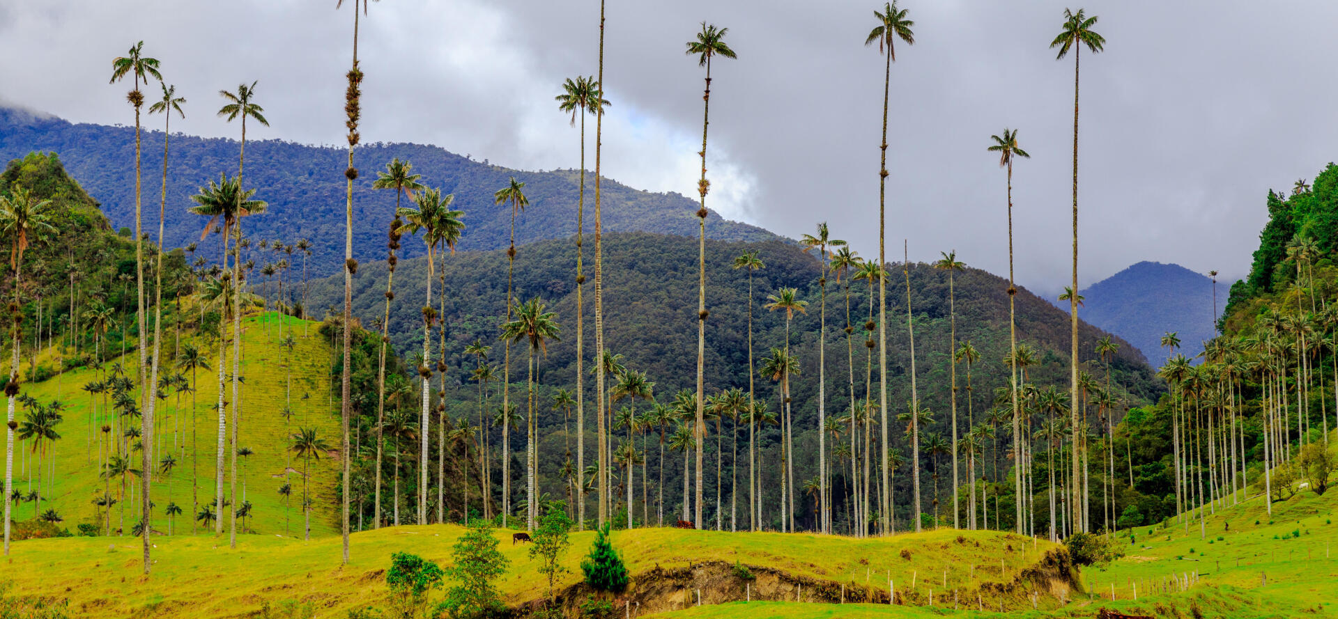 Volcano, jungle and lost city: 4 treks in Colombia