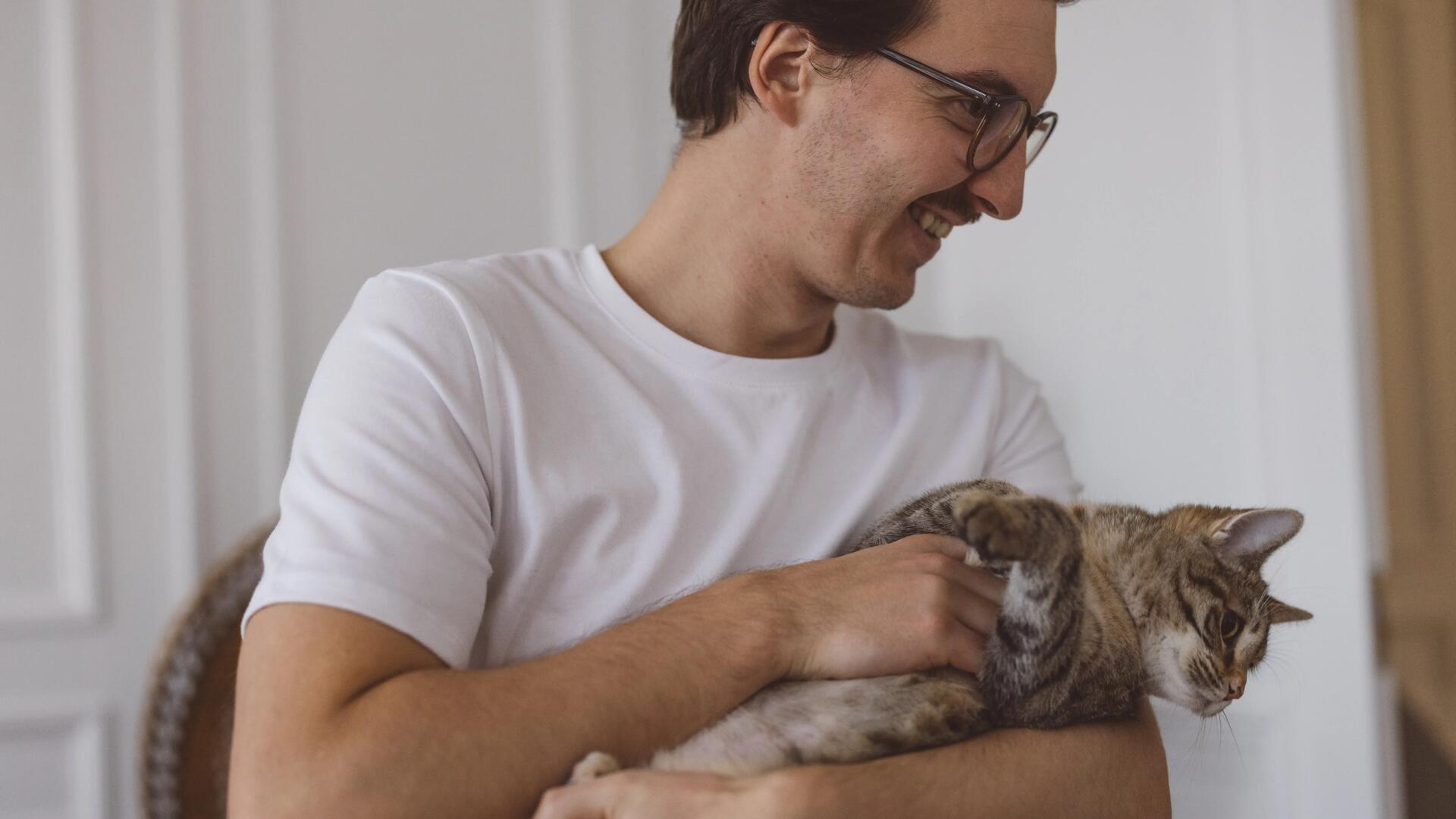 Peut-on faire du sport avec son chat ?