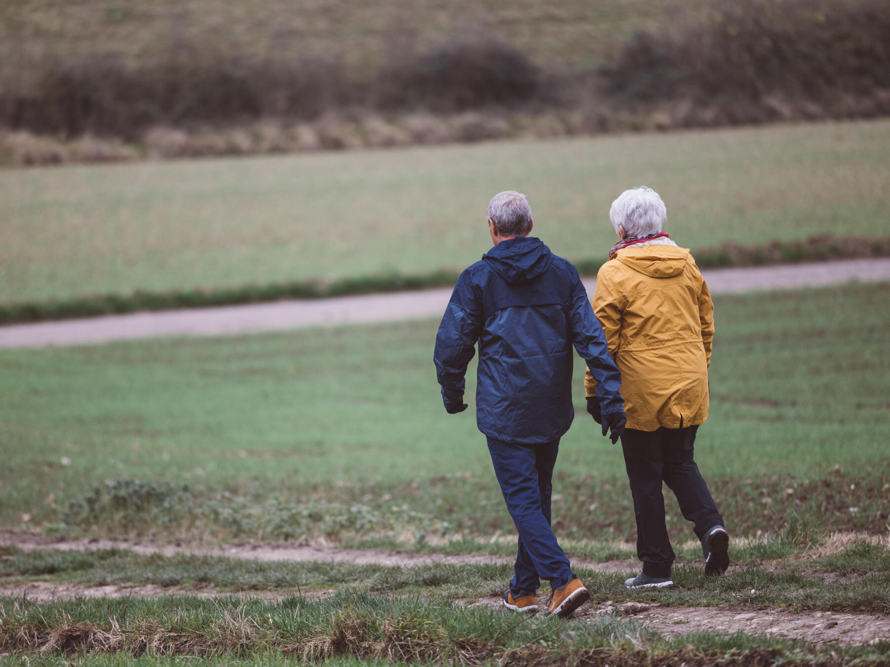 Le Jardinage Stimule L'esprit Et Le Corps De La Femme Adulte