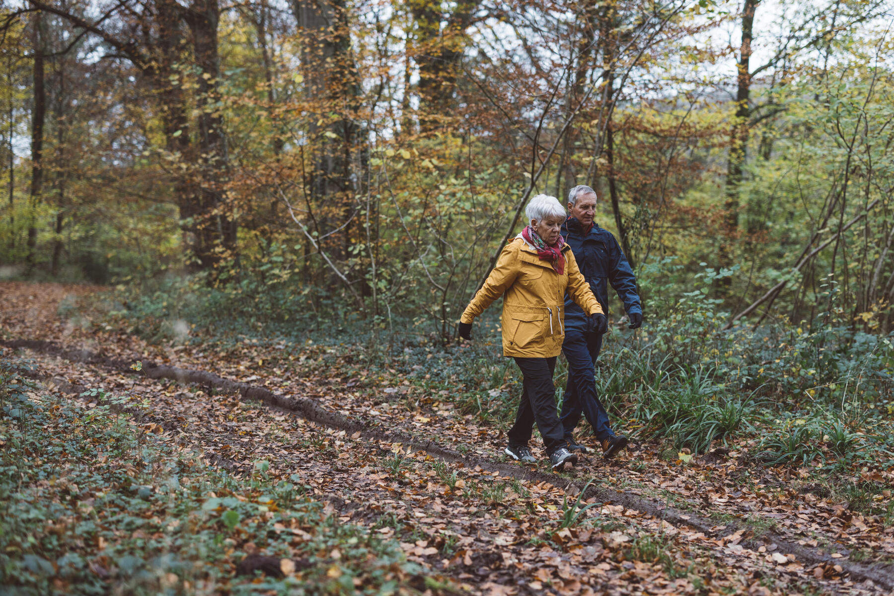 Seniorzy spacerujący po lesie