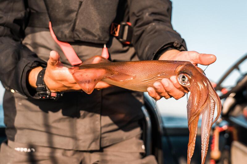 TECHNIQUES ET ASTUCES POUR PÊCHER LE CALAMAR