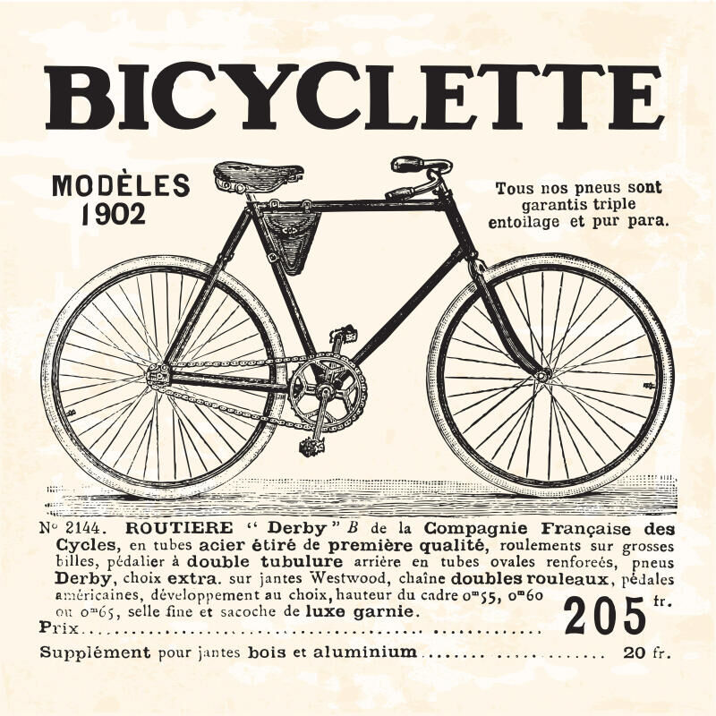 Cycloféminisme : à vélo vers la liberté