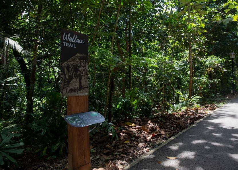 X Kid-Friendly Hikes in Singapore
