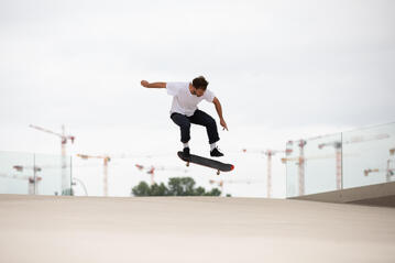 Skates, longboards e waveboards