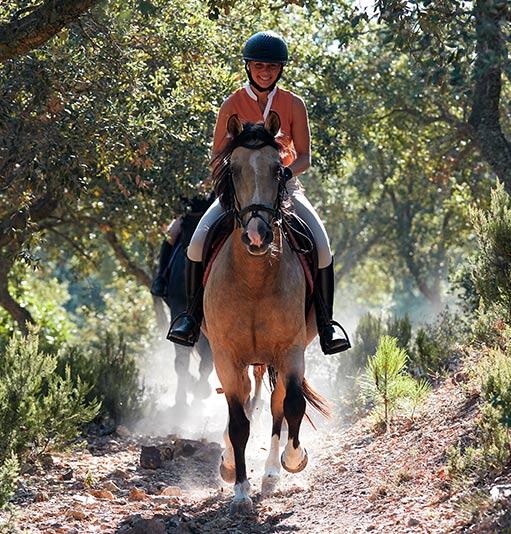 decathlon equitation