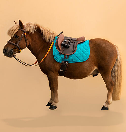 decathlon equitation